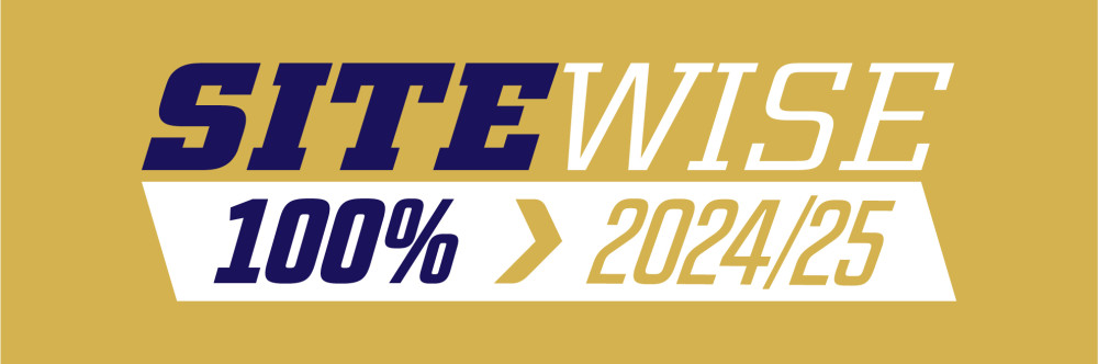 SW 100 gold background logo